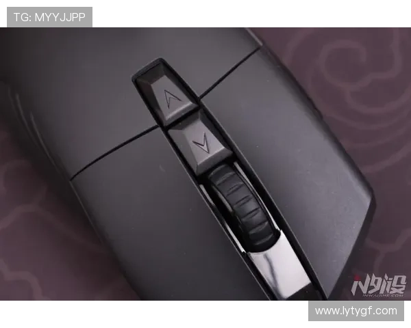 乐鱼手机在线登录入口官网安全稳定，保障玩家账号信息安全与游戏顺畅体验